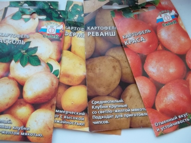 Картофель на рассаду сорта 193 Картофель на рассаду сорта 111