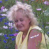 Жуки-щелкуны, Танина дача Жуки-щелкуны, Танина дача